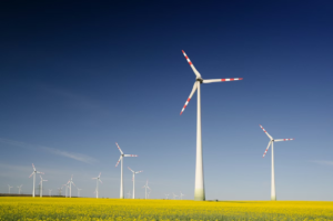 Is Wind Energy Driving Türkiye Among Key Contributors In Record 2025 Capacity Additions？