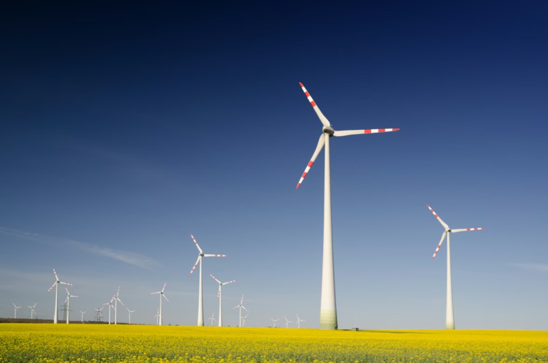 Is Wind Energy Driving Türkiye Among Key Contributors In Record 2025 Capacity Additions？