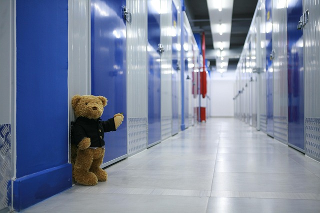 store space self storage