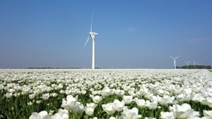 tulip wind turbine