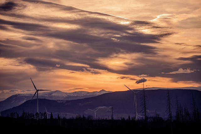 wind project