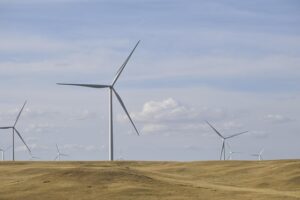 renewable energy