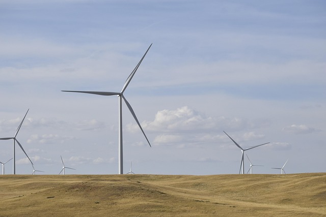 renewable energy