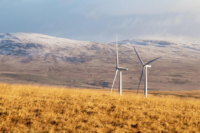 renewable energy by country