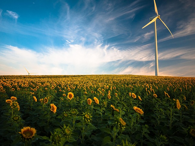 residential wind turbine