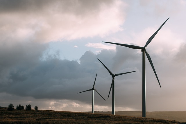types of renewable energy