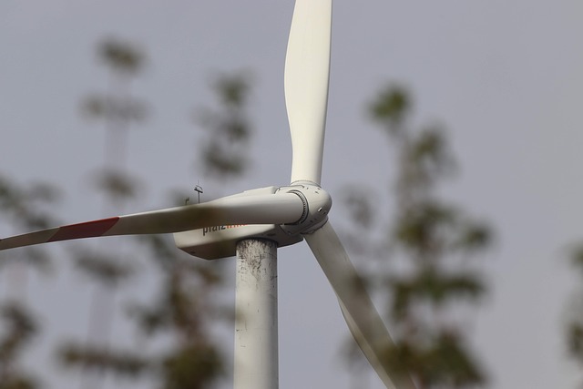 windmill turbine blades