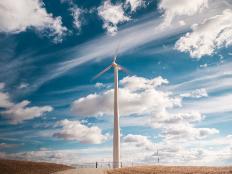 Can Wind Energy Sustain Its Global Momentum Despite Political Resistance