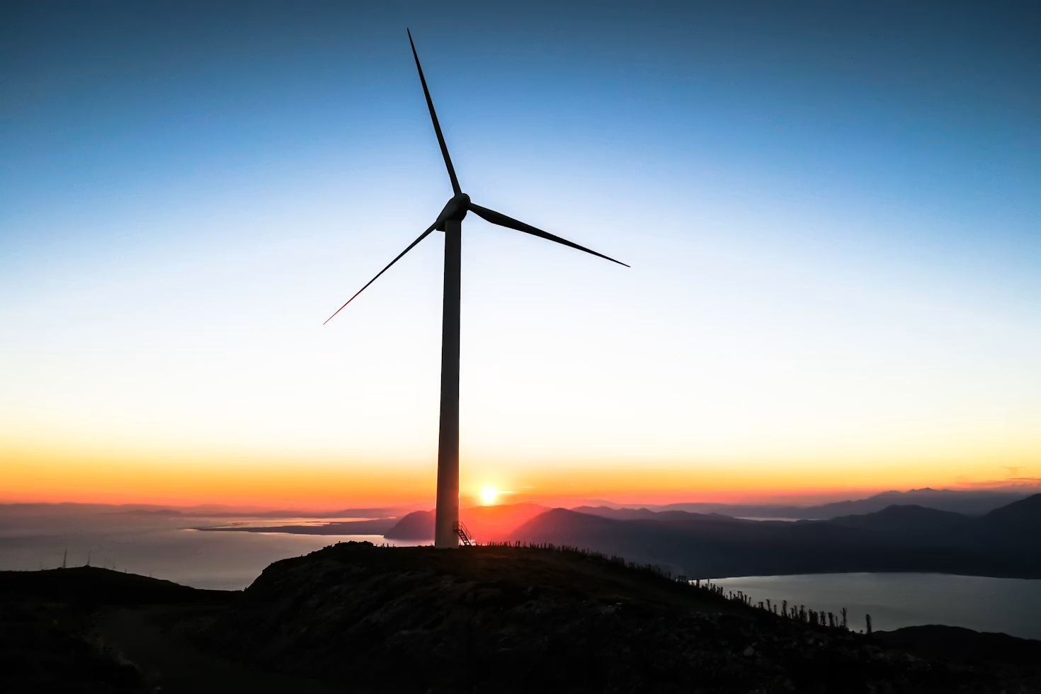 Could Wind Energy Structures Influence Seal Behavior in Offshore Farms