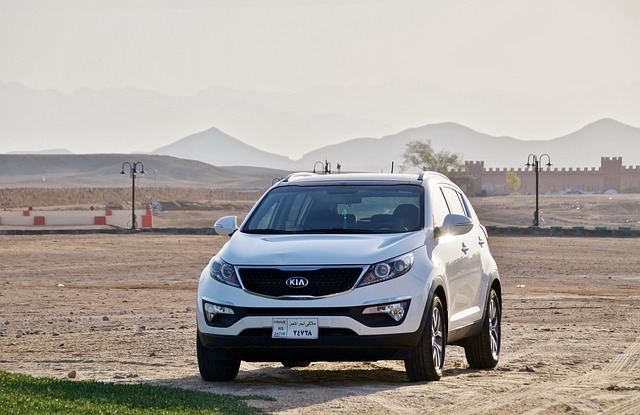 kia ev cars