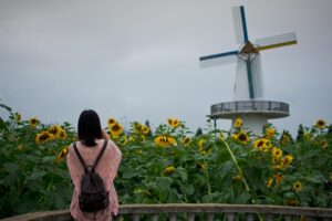 small windmills