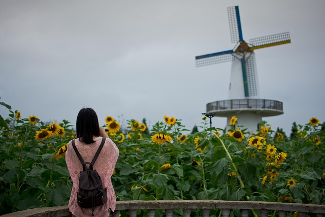 small windmills