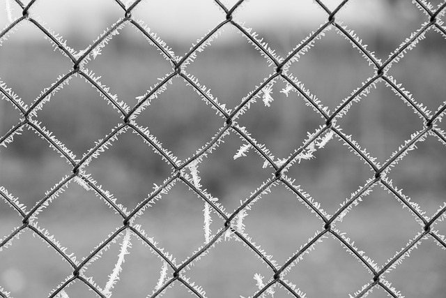 clean grid alliance