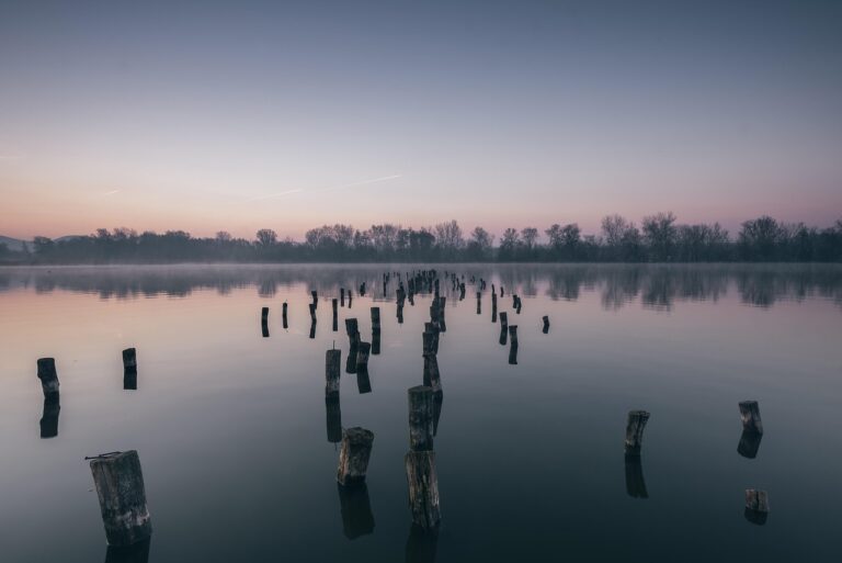 tata, hungary, fill-in-lake, dawn, lake, nature