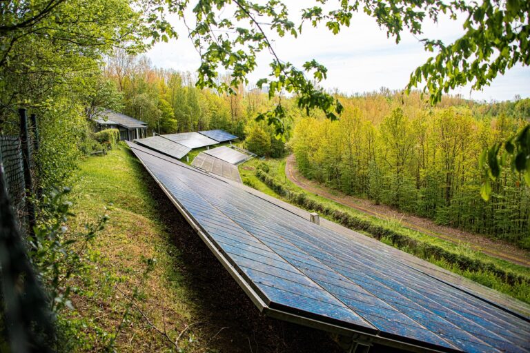 solar panels, forest, meadow, technology, photovoltaic, solar system, energy, energy transition, alternative energy, environment, outdoors, nature, electricity, solar energy, solar power, cell, clean, ecologically, sustainable, solar panels, solar panels, solar panels, solar panels, solar panels, photovoltaic, solar energy