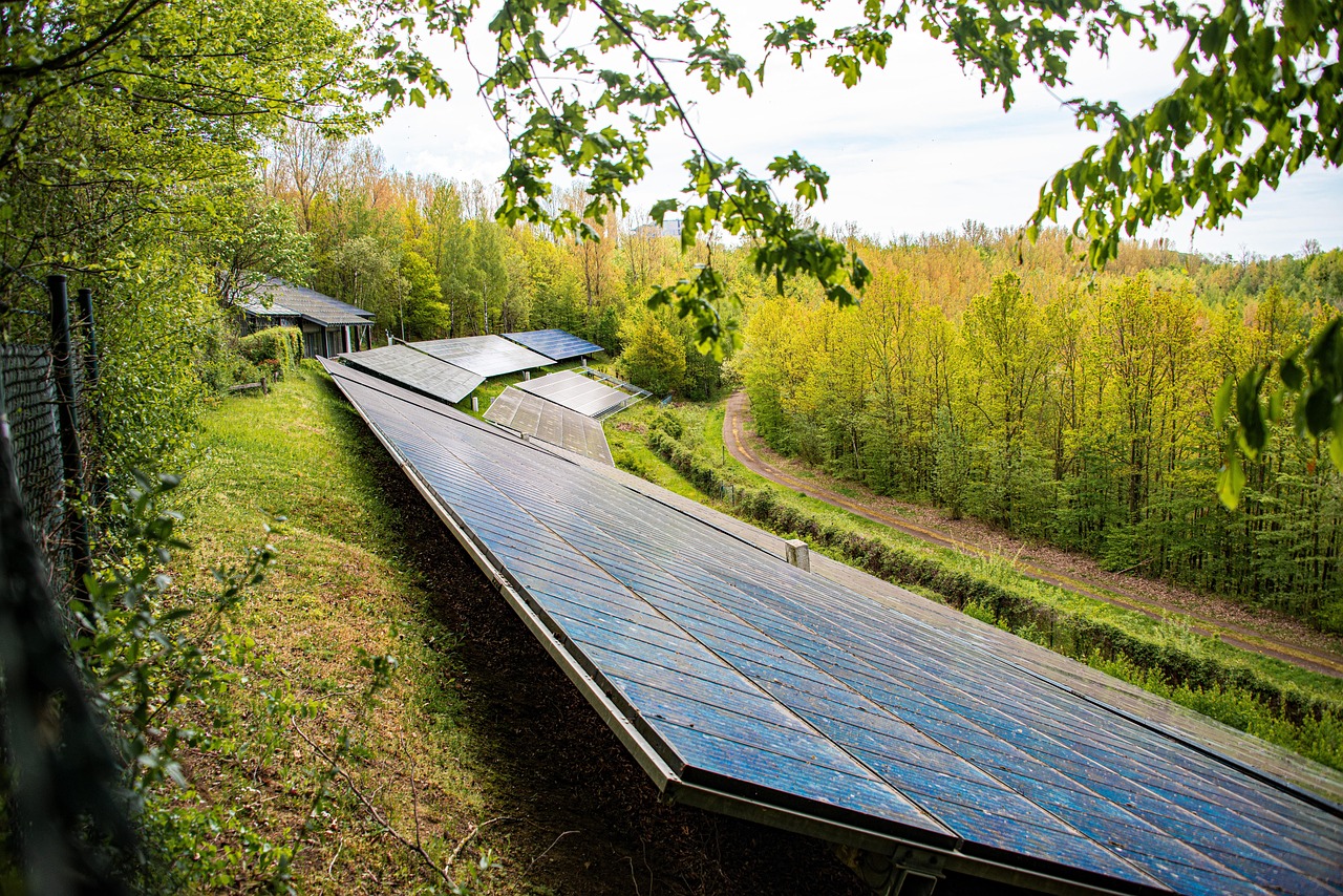 solar panels, forest, meadow, technology, photovoltaic, solar system, energy, energy transition, alternative energy, environment, outdoors, nature, electricity, solar energy, solar power, cell, clean, ecologically, sustainable, solar panels, solar panels, solar panels, solar panels, solar panels, photovoltaic, solar energy