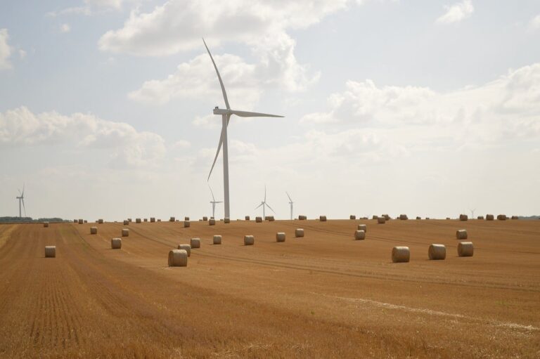 wind turbine, harvest, bundles, agriculture, nature, straw, to harvest, wheat, sky, cloudy