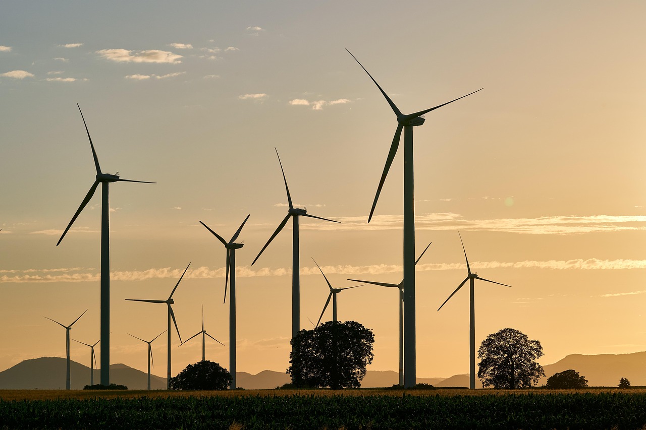 pinwheels, energy, electricity, renewable, nature, wind energy, sunset, wind farm, dusk, trees, landscape