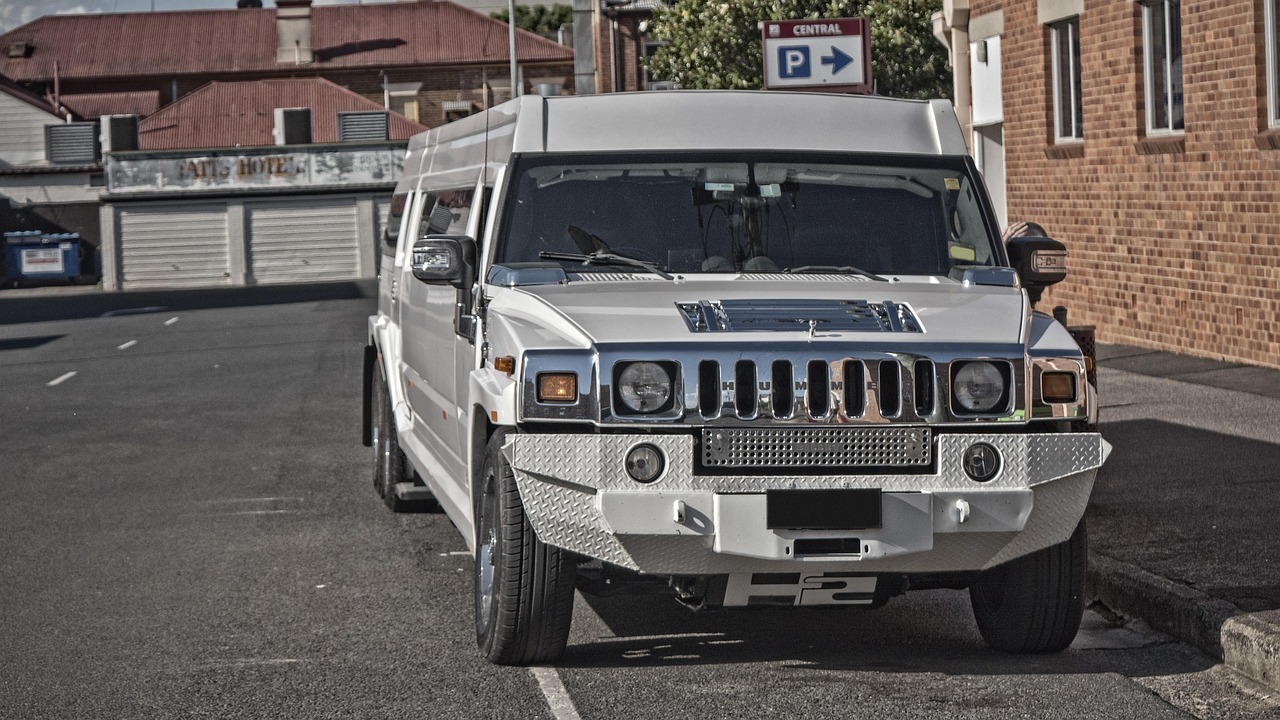 hummer, car, stretch, limo, urban, limousine, transportation, luxury, wedding, vehicle, business, travel, wealth, elegance, white, rich, transport, chauffeur, auto, success, automobile, car wallpapers, black, extended, love, bridal, happy, lifestyle, marriage, smile, romance, gray wedding, gray smile