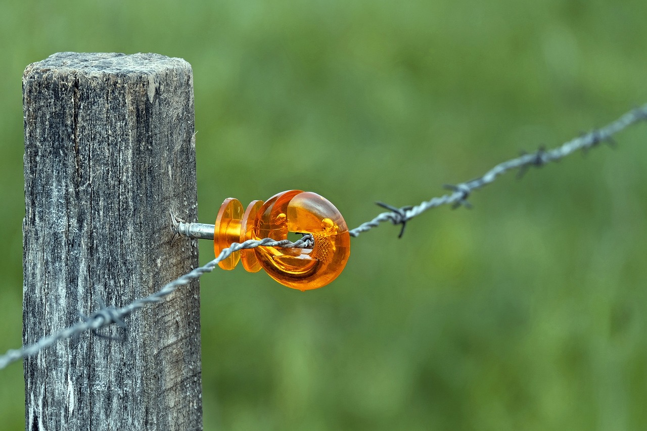 wicker fence, bracket, plastic, barbed wire, pasture, shut off, plastic, plastic, plastic, plastic, plastic, barbed wire