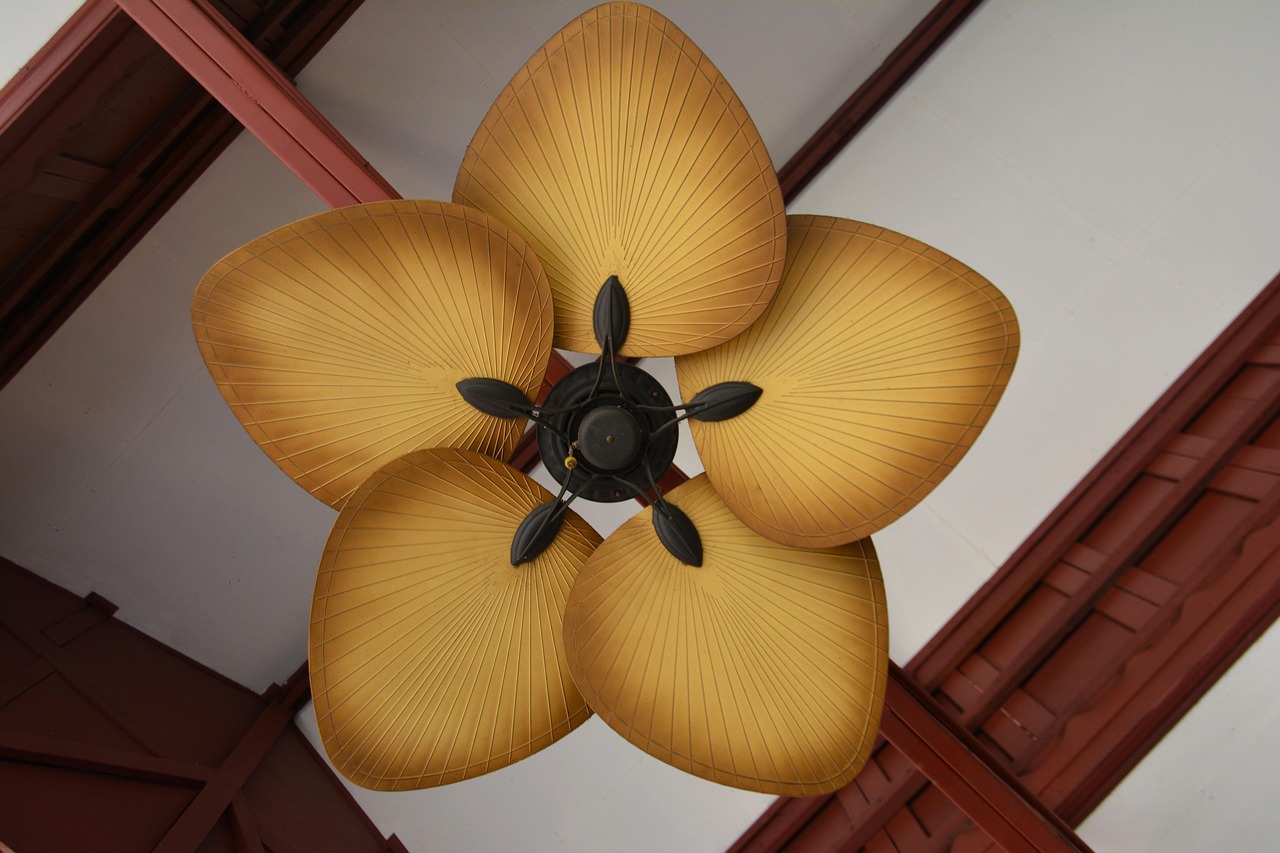 fan, ceiling fan, air, cool, interior, home, ceiling, house, electric, electrical, room, appliance, equipment, wind, temperature, circulation, vintage, cooling, blades, residential, household, cooler, fresh, system, indoors, motion, technology, relief, air conditioning, propeller, design, ceiling fan, ceiling fan, ceiling fan, ceiling fan, ceiling fan