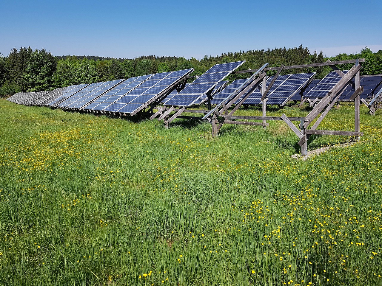 solar field, meadow, energy, electricity, solar energy, solar cells, solar, solar system, power generation, photovoltaic, renewable, energy transition, solar power, nature, forest, solar energy, solar energy, solar energy, solar energy, solar energy, photovoltaic, solar power, solar power