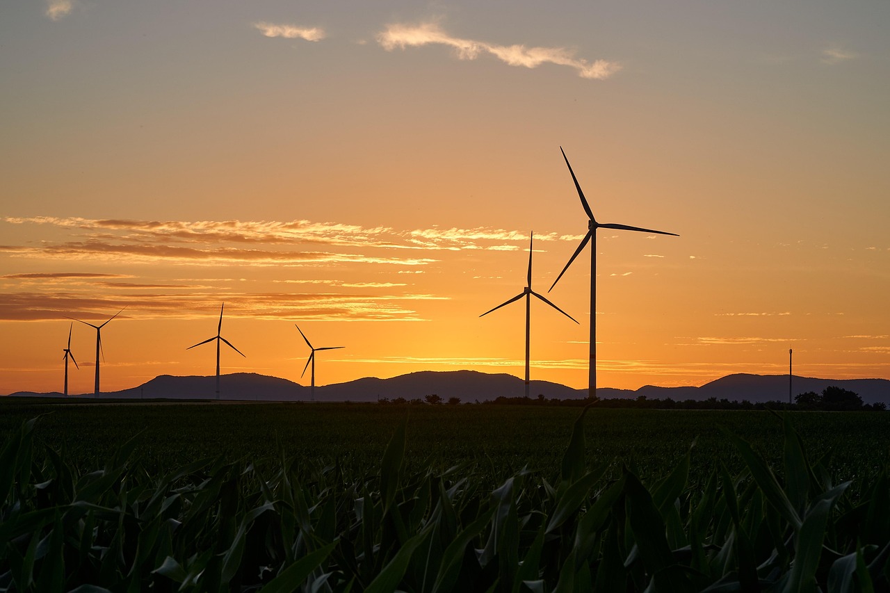 pinwheels, energy, electricity, renewable, wind energy, nature, sunset, wind farm, dusk, trees, landscape