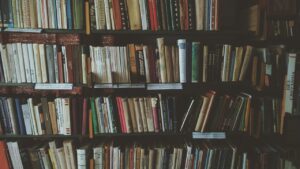 bookcases, books, bookshelves, knowledge, library, literature, novels, read, reading, bookworm, library, library, library, library, library