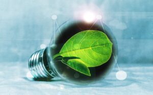 lightbulb, leaf, chlorophyll, green, nature, leaf green, light, pear, flashes, energy, energy transition, energy generation, bulbs, experiment, innovation, environmentally friendly, electricity, environment, electric light, energy saving