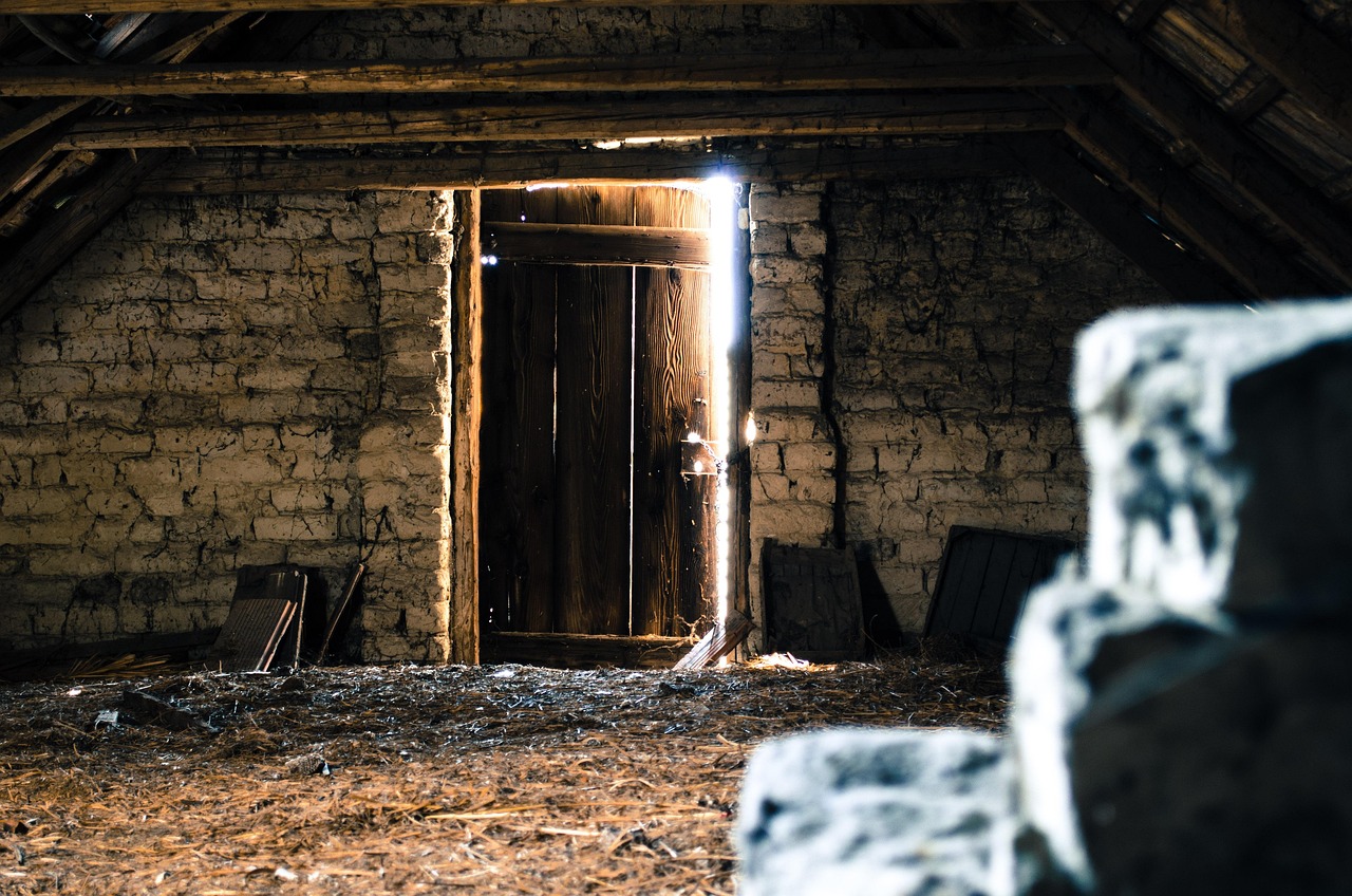 attic, pise, old attic, tile, light, mystery, door, attic, attic, attic, attic, attic