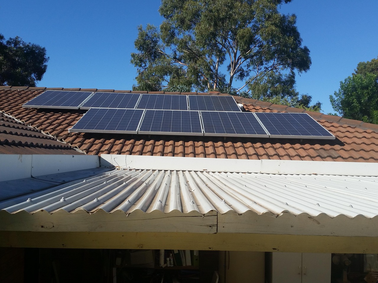 solar panels, photovoltaic cells, tiles, roof, nature, tree