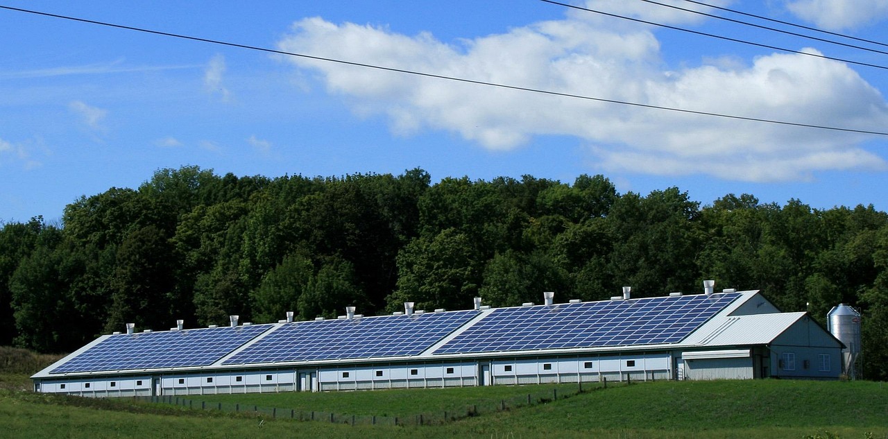 solar power, sun, barn, power, energy, electricity, alternative, panel, environment, technology, renewable, ecology, sunlight, clean, electrical, cell, ecological, generator, roof, sustainable, equipment, resource, science, natural, economy, save, fuel, voltage, home, generate, battery, blue home, blue technology, nature, blue sun, blue science, blue energy, blue economy, blue power, blue clean