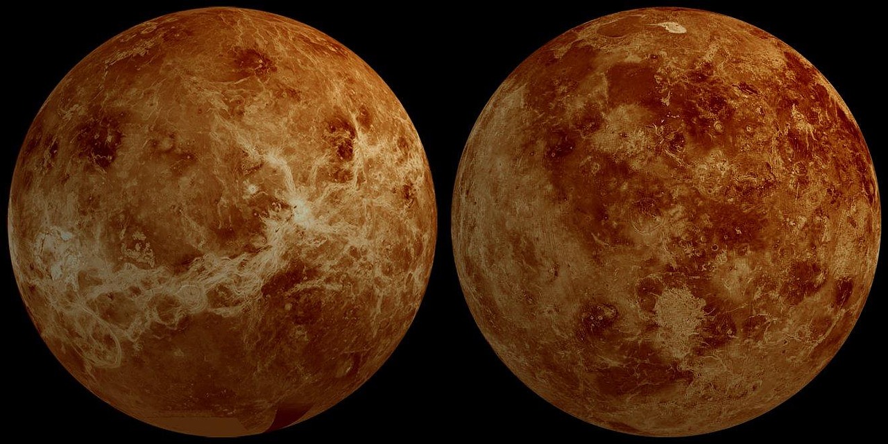 venus, planet, hemisphere, front, back, space, solar system, venus, venus, venus, venus, venus