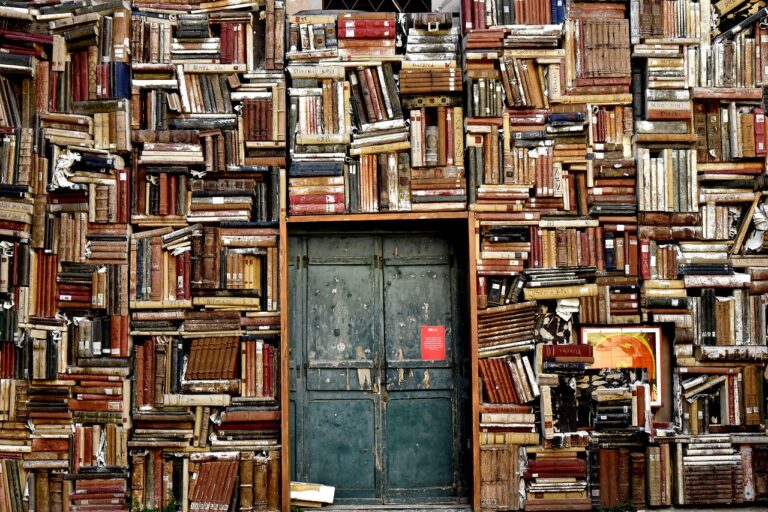books, shelves, door, wallpaper hd, entrance, library, 4k wallpaper, knowledge, wisdom, cool backgrounds, hd wallpaper, civic museum library, windows wallpaper, free wallpaper, laptop wallpaper, international gallery of modern art, full hd wallpaper, beautiful wallpaper, 4k wallpaper 1920x1080, wallpaper 4k, pesaro, desktop backgrounds, italy, mac wallpaper, free background, background