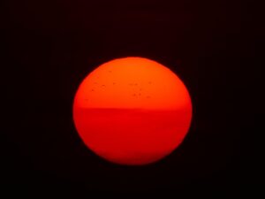 sun, fireball, birds, red, sunset, nature, solar disk, heat, glaring, eve, fireball, fireball, fireball, fireball, fireball, sunset, sunset