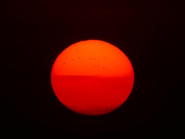 sun, fireball, birds, red, sunset, nature, solar disk, heat, glaring, eve, fireball, fireball, fireball, fireball, fireball, sunset, sunset