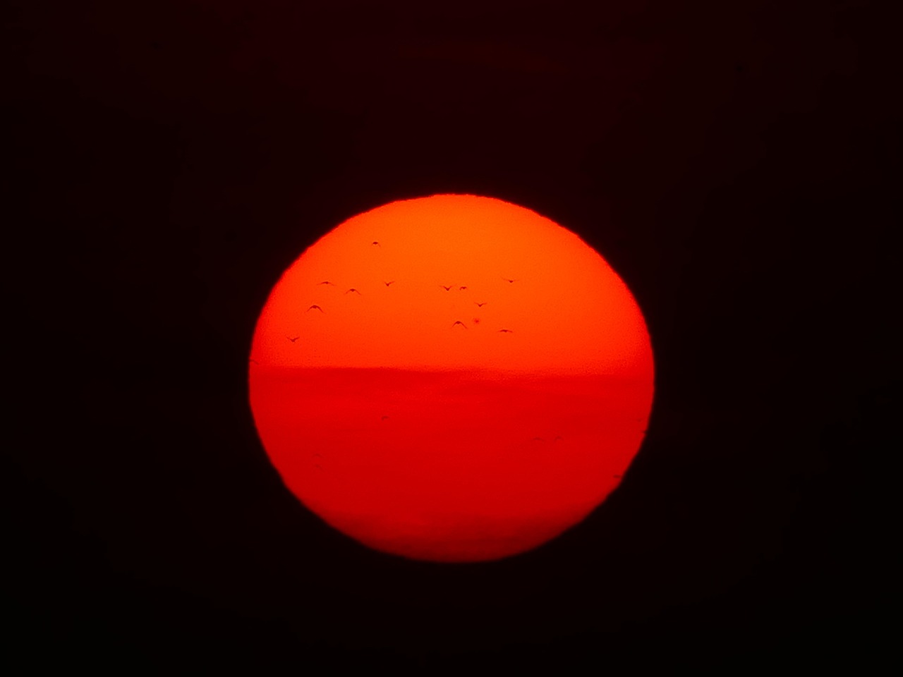 sun, fireball, birds, red, sunset, nature, solar disk, heat, glaring, eve, fireball, fireball, fireball, fireball, fireball, sunset, sunset