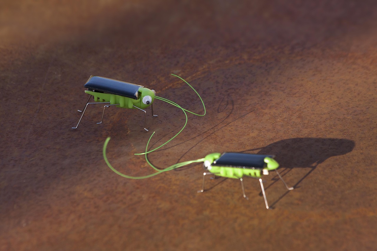 beetle, toy, photovoltaic, solar cell, insect, photovoltaic, photovoltaic, photovoltaic, solar cell, solar cell, solar cell, solar cell, solar cell