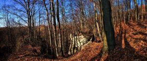forest, trees, leaves, autumn rocks, landscape, nature, the environment, the stage, sky, figure, ecology, solar, beeches, shadows, valleys near krakow, poland