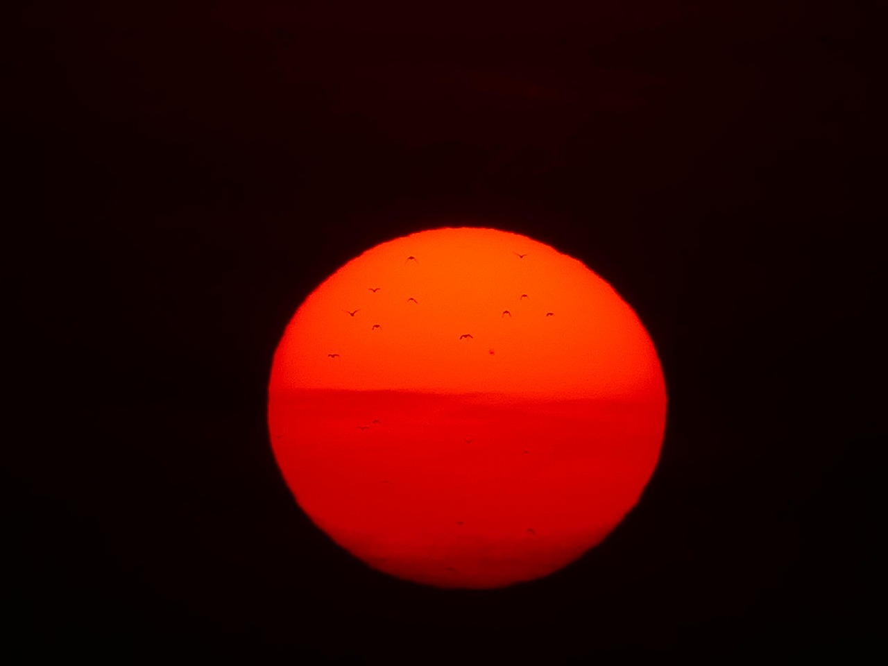 sun, fireball, birds, red, sunset, nature, solar disk, heat, glaring, eve