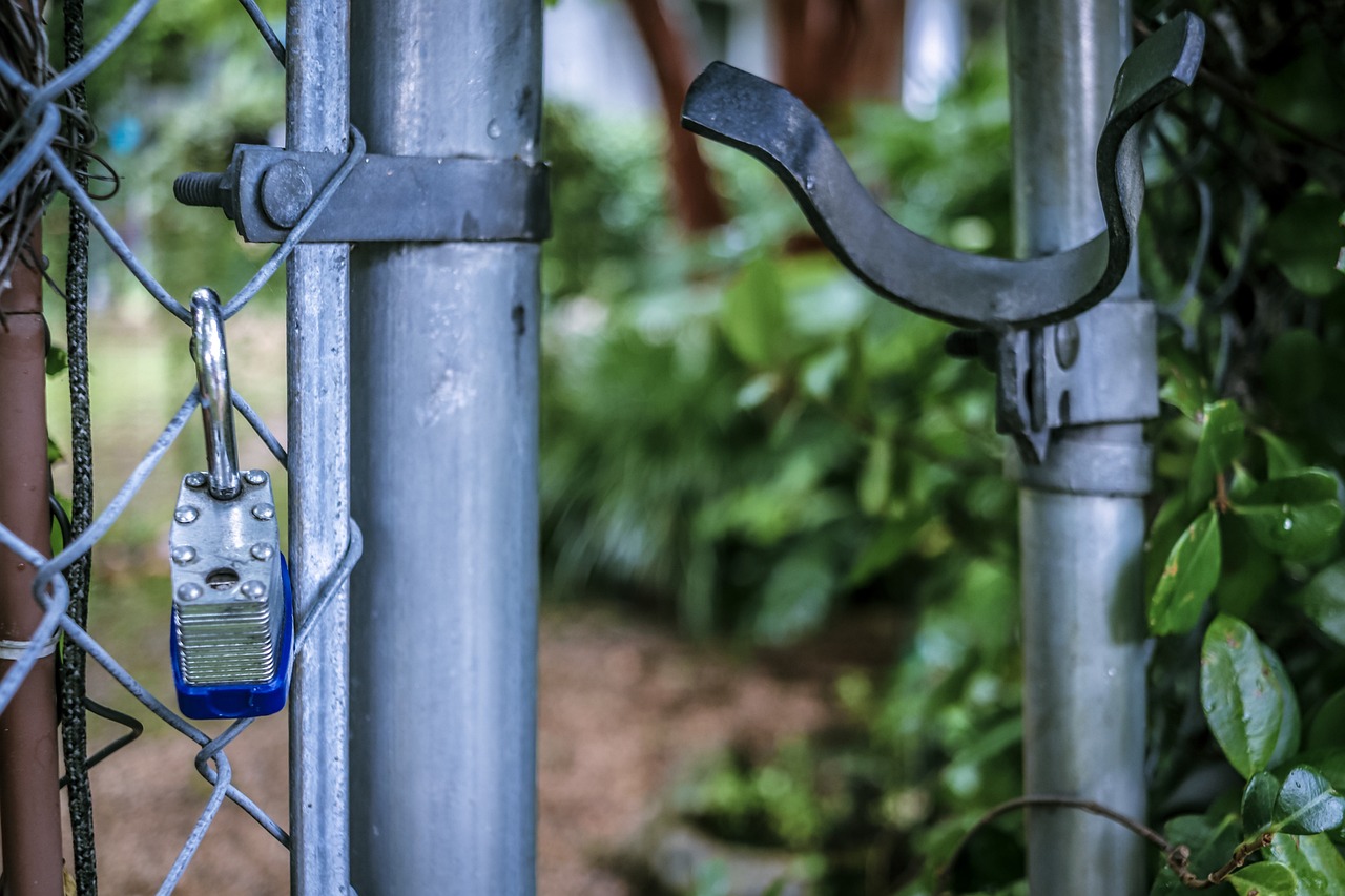 keys to success, key to success, unlock your highest potential, opening new doors, unlock, new life, nature, outdoors, wood, tree, fence, garden, steel, leaf, iron, lush, yard, home security, security, safety, home, house, protect your home, roaming, gloomy, unlock, unlock, unlock, unlock, unlock, fence