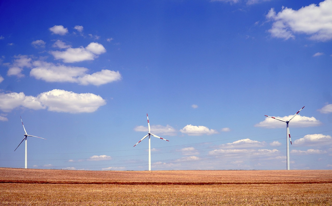 pinwheels, wind energy, wind power, energy, energy transition, windmills, landscape