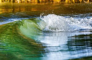 danube river, wave, nature, danube wave, water wave, flood, tidal wave, water