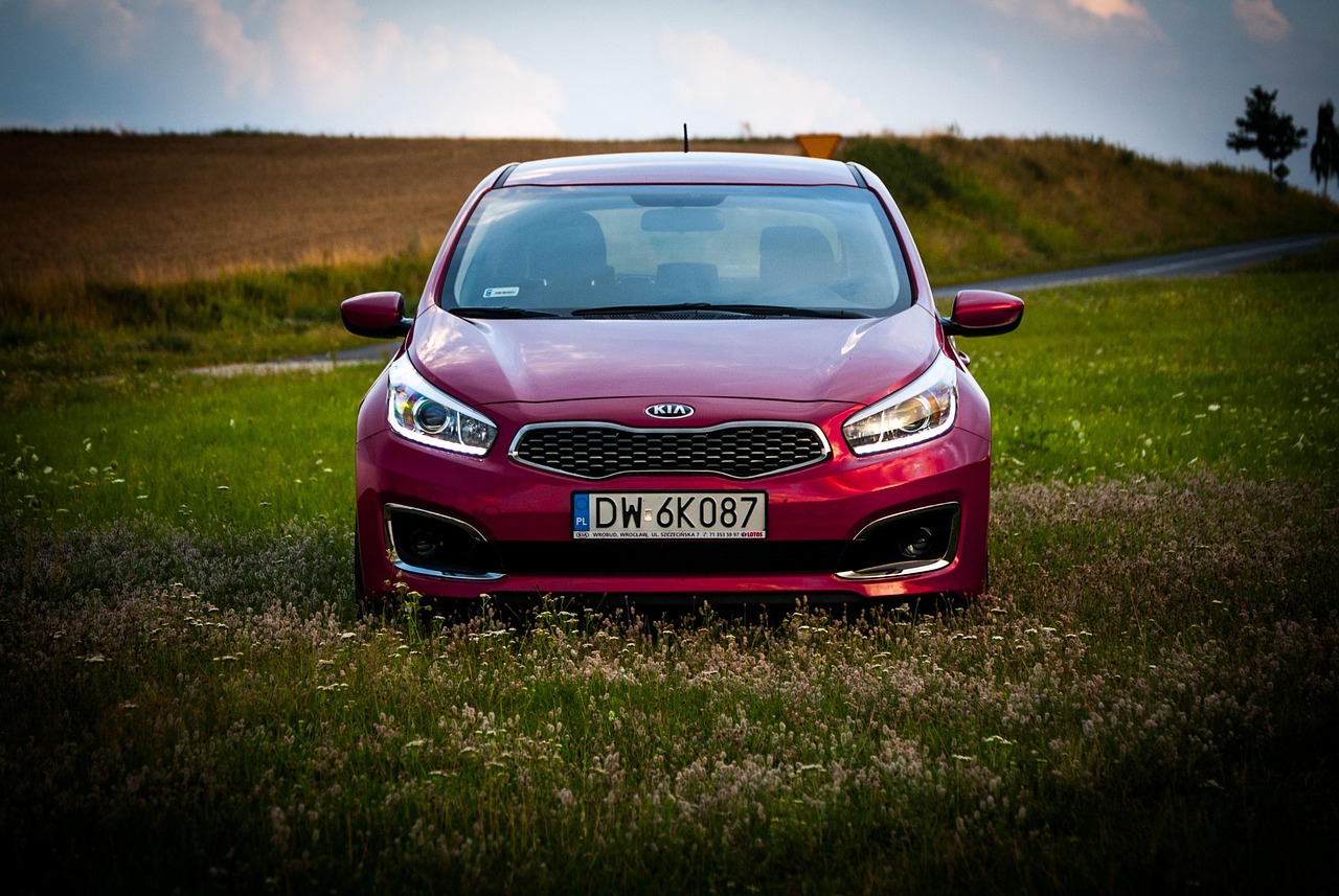 car, kia, korea, landscape, nature, wheels, transport, car wallpapers, auto, light, tourism, reflector, cars, grass, lacquer, automotive, replacement lamp, meadow, new, personal
