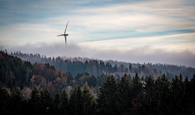 windmill, wind energy, wind, pinwheel, wind power, wind turbine, nature, forest, fog, trees, wind power, wind power, wind power, wind turbine, wind turbine, wind turbine, wind turbine, wind turbine