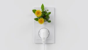 energy, nature, clean, flower background, renewable, sustainable, green, power outlet, plant, flower, flower wallpaper, beautiful flowers, plug, electricity, energy transition, photovoltaic, solar, alternative, technology, ecology, sun