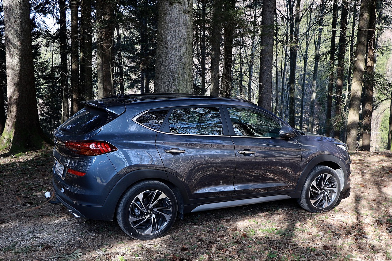 automobile, hyundai, dynamic, suv, suv vehicle, vehicle, forest, trees, nature, the shade, 4wd, all wheel drive, hyundai tucson, offroad, reflection