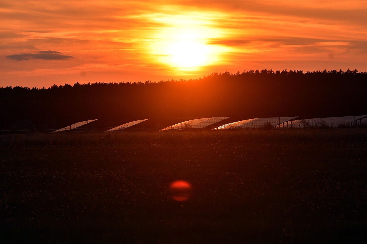 nature, sunset, solar panels, energy, power, dusk, outdoors, solar panels, solar panels, solar panels, solar panels, solar panels