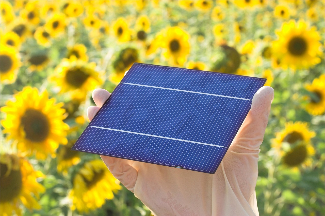 solar cell, solar panel, solar energy, renewable energy, electricity generation, sunflower field, solar power, solar cell, solar cell, solar panel, solar panel, solar panel, solar panel, solar panel, solar energy