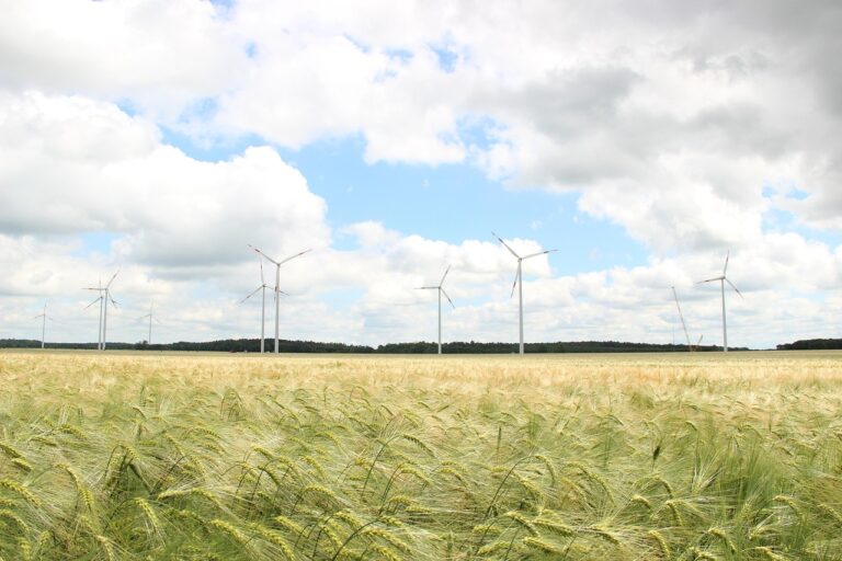 wind turbines, wind mills, wallpaper hd, 4k wallpaper 1920x1080, hd wallpaper, mac wallpaper, full hd wallpaper, energy, climate, cool backgrounds, climate change, clouds, field, 4k wallpaper, windows wallpaper, green energy, free wallpaper, power, electricity production, beautiful wallpaper, free background, germany, wind, wallpaper 4k, clean energy, wind energy, wallpaper, laptop wallpaper, background, future, nature, desktop backgrounds, fresh air